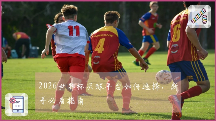 2026世界杯买球平台如何选择，新手必看指南