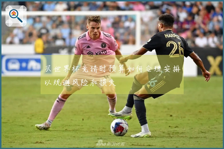 买世界杯竞猜时预算如何合理安排以规避风险和损失