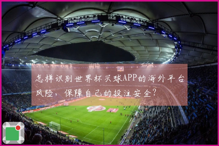 怎样识别世界杯买球APP的海外平台风险，保障自己的投注安全？