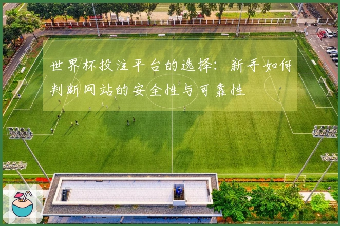 世界杯投注平台的选择：新手如何判断网站的安全性与可靠性