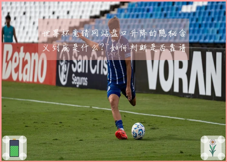 世界杯竞猜网站盘口升降的隐秘含义到底是什么？如何判断是否靠谱？