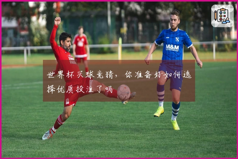 世界杯买球竞猜，你准备好如何选择优质投注了吗