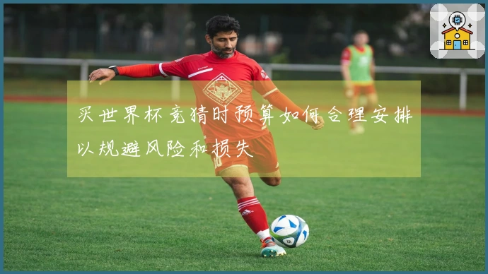 买世界杯竞猜时预算如何合理安排以规避风险和损失