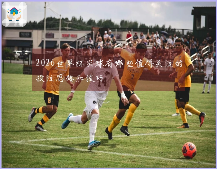 2026世界杯买球有哪些值得关注的投注思路和技巧