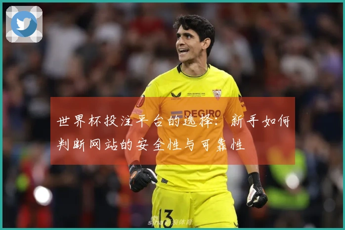 世界杯投注平台的选择：新手如何判断网站的安全性与可靠性